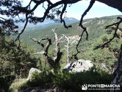 Senda Herreros - Puerto de Navacerrada - Valle de Fuenfría - Ducha de los Alemanes -Embalse Berceas